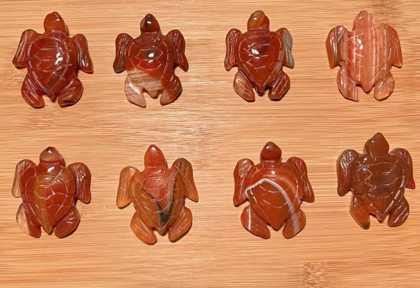 Carnelian Turtle