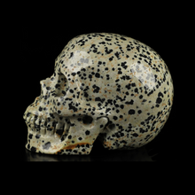 3.5" Dalmatian Jasper Crystal Skull – The Stone of Joy and Grounded Energy