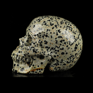 3.5" Dalmatian Jasper Crystal Skull – The Stone of Joy and Grounded Energy