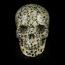 3.5" Dalmatian Jasper Crystal Skull – The Stone of Joy and Grounded Energy