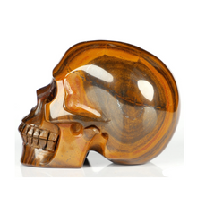 3" Hand Carved Tiger Iron Skull