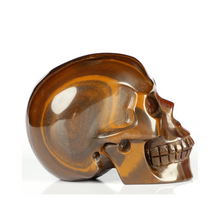 3" Hand Carved Tiger Iron Skull