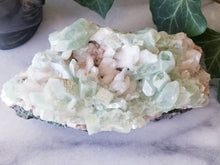 Green Apophyllite Zeolite Crystal Cluster
