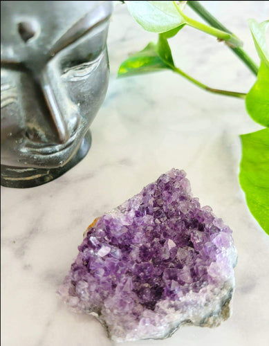 Small Amethyst Crystal Cluster