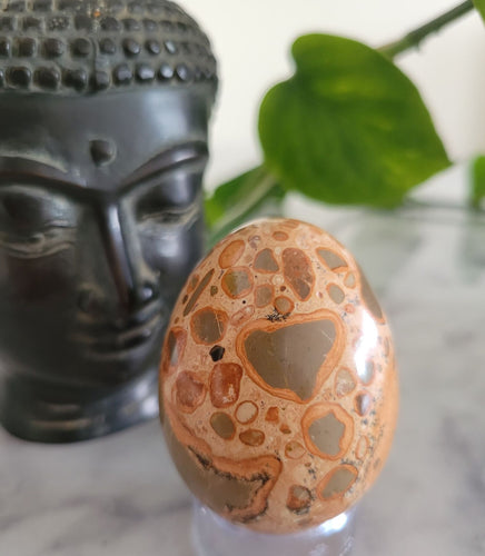 Leopardite Jasper Egg