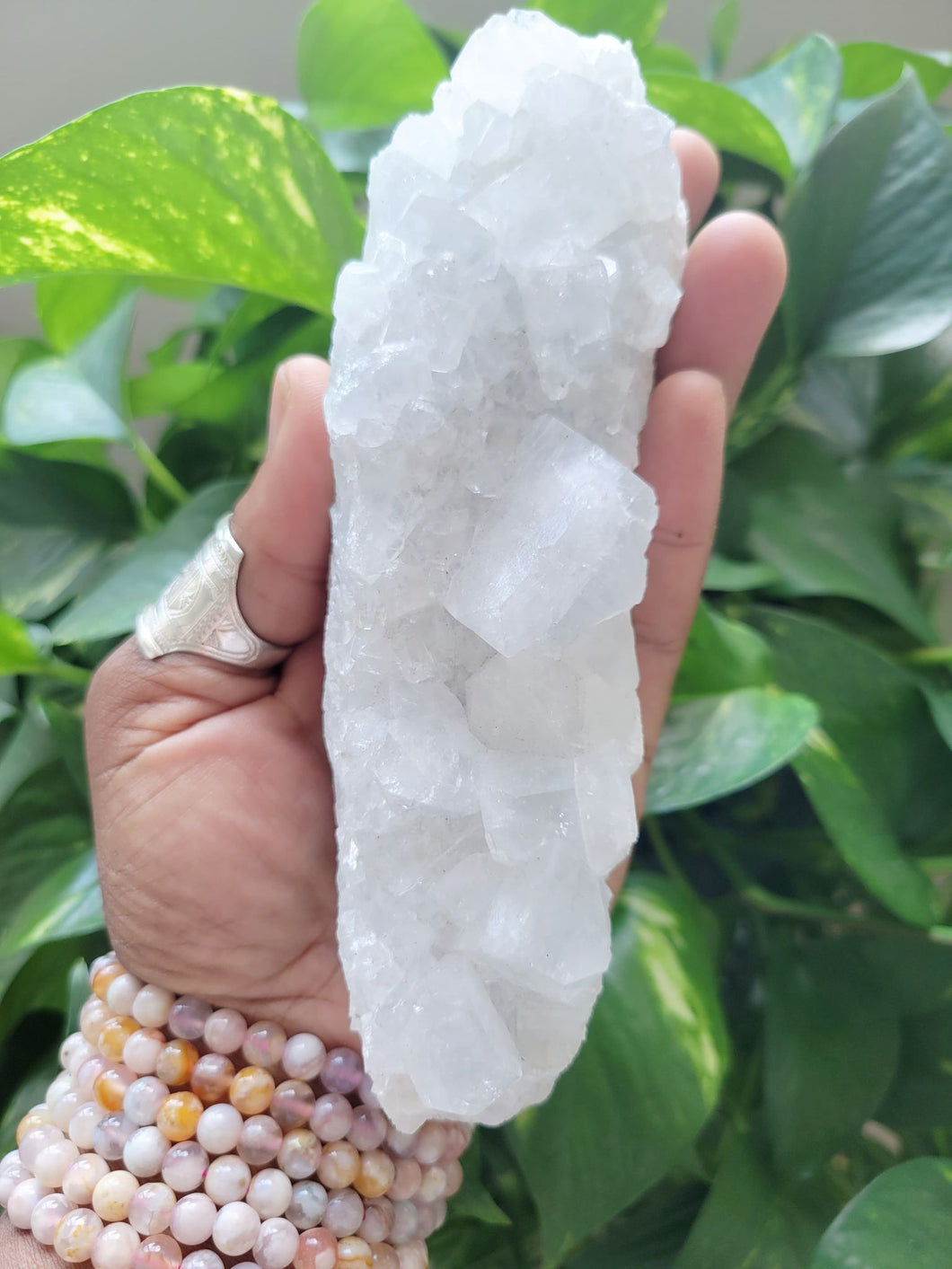 Apophyllite Crystal Cluster