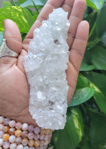 Apophyllite Crystal Cluster