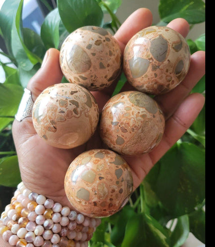 Leopardite Jasper Sphere