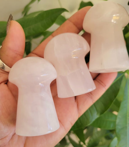 Mangano Calcite Mushrooms