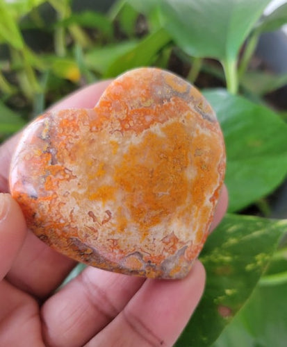 Bumble Bee Jasper Heart