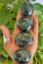 Kambaba Jasper Palm Stone