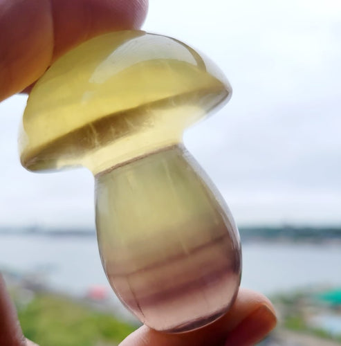 Yellow Fluorite Mushrooms