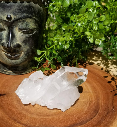 Quartz Crystal Cluster