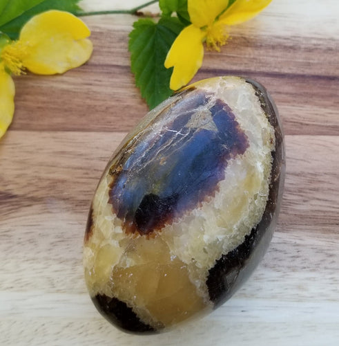 Large Septarian Palm Stone