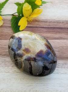 Large Septarian Palm Stone