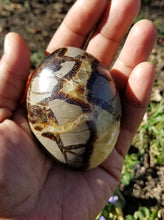 Large Septarian Palm Stone