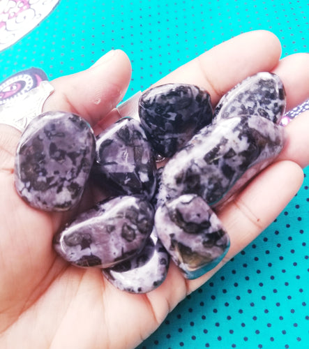 Indigo Gabbro Tumbled Crystal