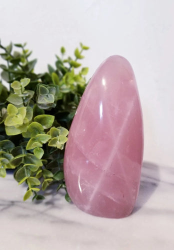 Star Rose Quartz Polished Standup 5.2
