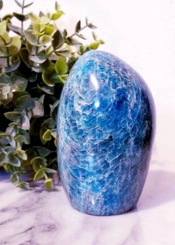 Blue Apatite Crystal Freeform from Madagascar 4.4