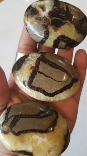 Septarian Palm Stone Gallet (Dragon Stone)
