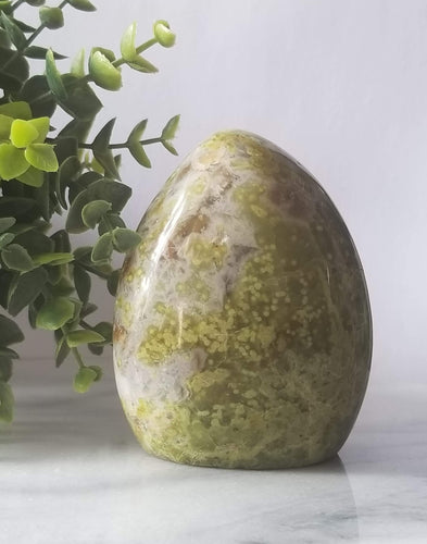 Green Opal Standup Freeform