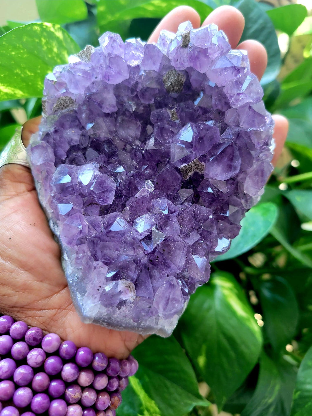 Large Amethyst Crystal Cluster 6A