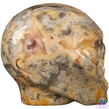 Crazy Lace Agate Crystal Star Being Alien Skull