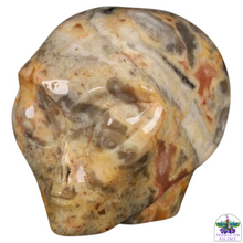 Crazy Lace Agate Crystal Star Being Alien Skull